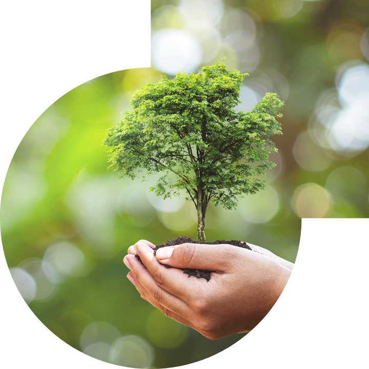 關懷人類、文化、環境與社會